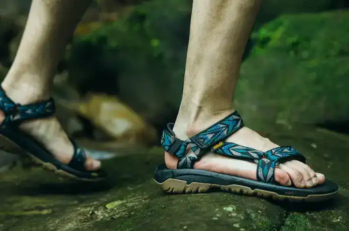 テバ ハリケーン XLT 2